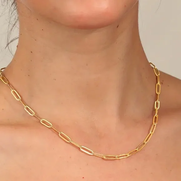 NWT gold colored paper clip chain - Picture 2 of 4